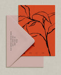 card 01